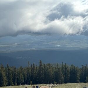 Meet your Posher, Brandi